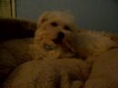 Joony Feb 11, 06