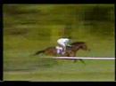 1986 (309) Premio ALEJANDRO PADILLA (Hp.) (1.ª C.) (MILORD)