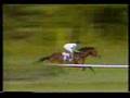 1986 (309) Premio ALEJANDRO PADILLA (Hp.) (1.ª C.) (MILORD)