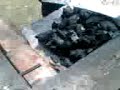 Intento fallido de Segundo de prender parrilla