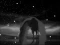 rurouni kenshin   flames