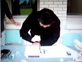 Chinese  dragon calligraphy