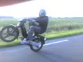 giann wheelie