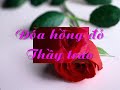 Nhac Pham HOA HONG DO