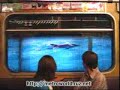 Life :) underground ad