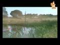 Campos de Férias do Castor - Teledisco 08
