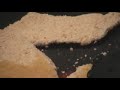 Cooking Fish