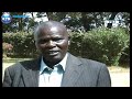 Maize importation