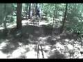 Woodpecker trail at Fomba