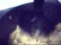 WI POTATO CHEESE SOUP.wmv