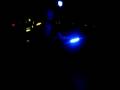 sieta key beach poi and jamaican party