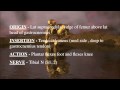 PLANTARIS - MUSCLE QUIZ