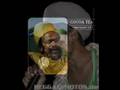 Cocoa Tea- Barak Obama
