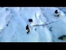 30 Seconds to Mars A Beautiful Lie Official Video