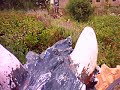 Terra mitika: Caballitos