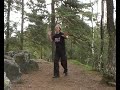 The Taiki dance