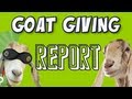 Yogscast - Goat Giving Report Special Update Video