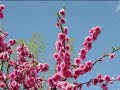 Il Cielo Ha Una Porta Sola - Biagio Antonacci