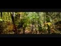 videos de Bouldering Athens