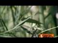 videos de herausforderung.wmv