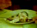 videos de Ingurgitamento di pannacotta