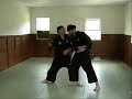 Harimau Baringin Sakti Pencak Silat