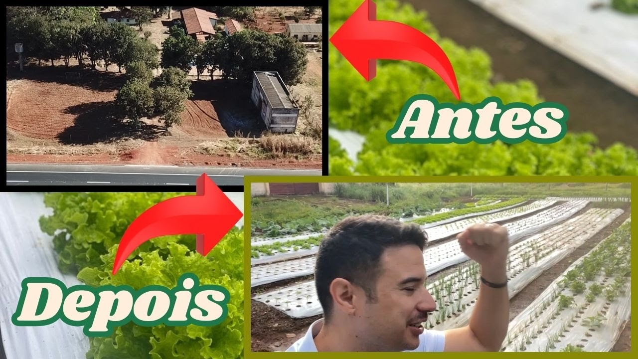 Construindo uma horta do Zero - Dia de Colheita! - [ PARTE 4]