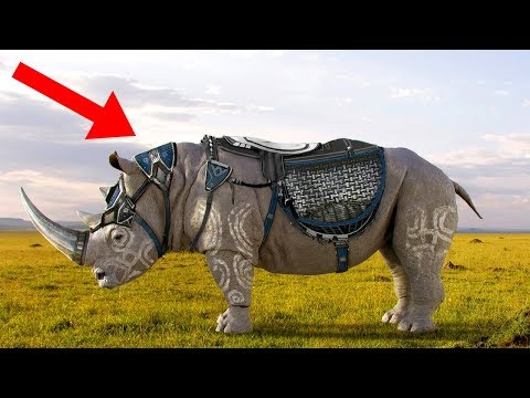 WILD Animals We've NEVER Been Able To Domesticate!