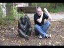 Monkey?