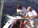 Reece takes a nice Striped Marlin on the Reel Deal