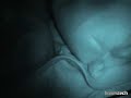 The Babiano Witch(Bitch) Project II
