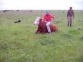 videos de Beto jinete