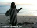 rasta dave intro