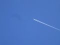 @sannovox [jet stream ,at miyanoshita,hakone, december 1...]