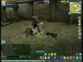 Florensia Priest