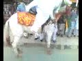 Pakistani Wedding Funny Clip Dulla Pakistani Wedding Funny Clip Dulla
