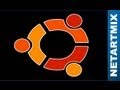 Linux ubuntu 12.04 SKYPE installation logiciel de vidéoconférence P2P Voip