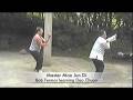 videos de Dao Chuan Tai Chi Chuan