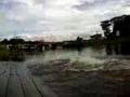 videos de pulo sicronizado