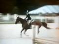 Vermont Week 4 Pessoa Hunt Seat Medal