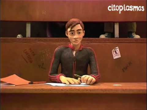 Imagen de previsualización de YouTube