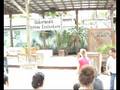 Gatorland, Orlando FL: Upclose Encounters