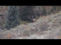 Jared's Monster Bull Elk Hunt in Scofield, Utah