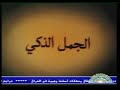 أبي الحروف