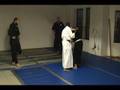 Sanuces Ryu at Warrior Within Dojo 3