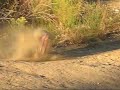 Team D-Style Rc Rally teaser