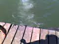 Pulos no Pier