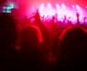Pendulum Live Rock City Hold Your Colour