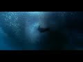 Owl City - Fireflies (deutsche lyrics).mp4