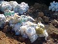 manganese ore manganese ore